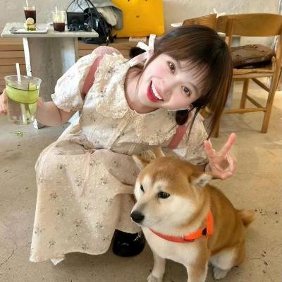 绣花鞋